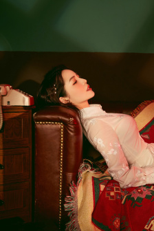 少女的心是什么书